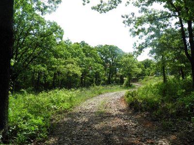 No Reserve Multi-parcel Auction Home & 50 acres Chandler, OK - image 22