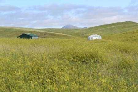 Meade County Absolute Real Estate Land Auction Sturgis Sd - image 5