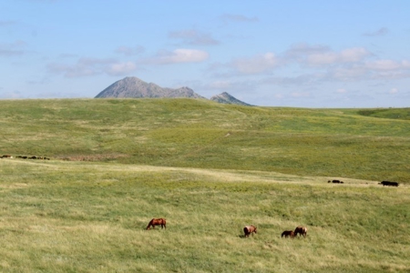 Meade County Absolute Real Estate Land Auction Sturgis Sd - image 8
