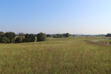 71 Beautiful Acres in Warren & Edmonson County, KY For Sale - image 2