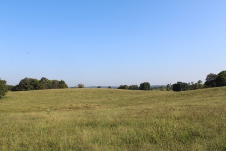 71 Beautiful Acres in Warren & Edmonson County, KY For Sale - image 9