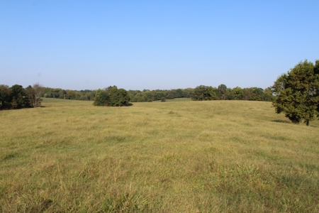 71 Beautiful Acres in Warren & Edmonson County, KY For Sale - image 13