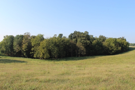 71 Beautiful Acres in Warren & Edmonson County, KY For Sale - image 15