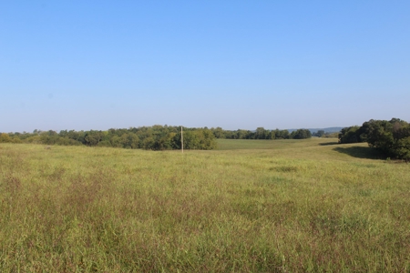 71 Beautiful Acres in Warren & Edmonson County, KY For Sale - image 4