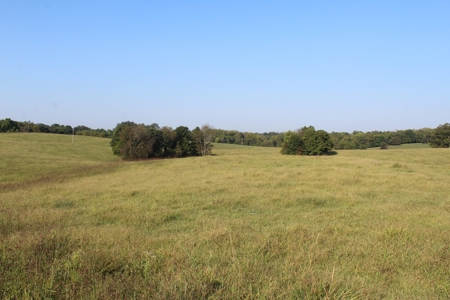 71 Beautiful Acres in Warren & Edmonson County, KY For Sale - image 12