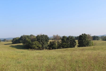 71 Beautiful Acres in Warren & Edmonson County, KY For Sale - image 3