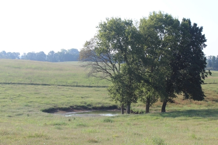 71 Beautiful Acres in Warren & Edmonson County, KY For Sale - image 16