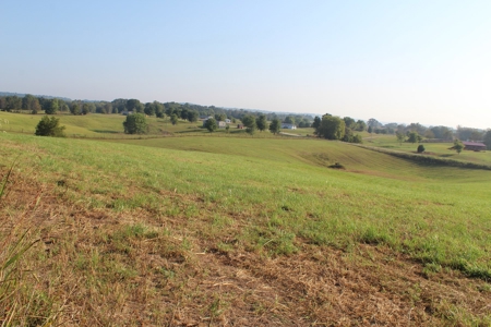 71 Beautiful Acres in Warren & Edmonson County, KY For Sale - image 25