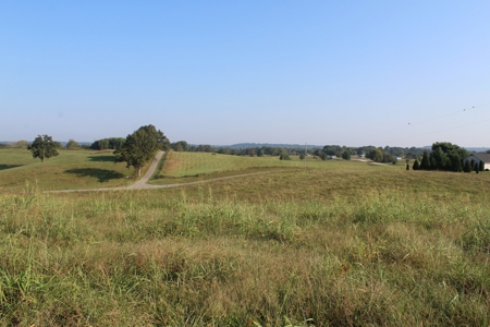 71 Beautiful Acres in Warren & Edmonson County, KY For Sale - image 17