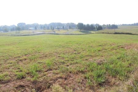 71 Beautiful Acres in Warren & Edmonson County, KY For Sale - image 24