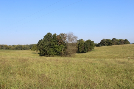 71 Beautiful Acres in Warren & Edmonson County, KY For Sale - image 8