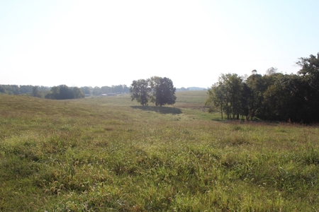 71 Beautiful Acres in Warren & Edmonson County, KY For Sale - image 21