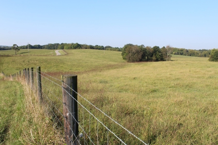 71 Beautiful Acres in Warren & Edmonson County, KY For Sale - image 11