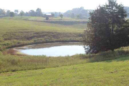 71 Beautiful Acres in Warren & Edmonson County, KY For Sale - image 26