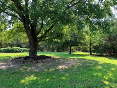 Fantastic Auction: Home & 30 Acres, Guns, Coins, Antiques! - image 8