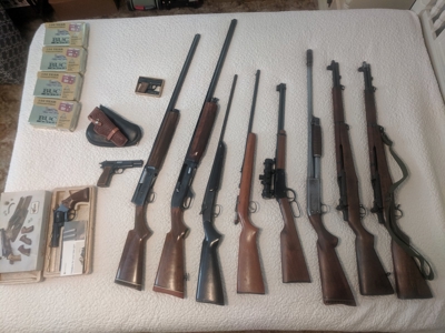 Fantastic Auction: Home & 30 Acres, Guns, Coins, Antiques! - image 22