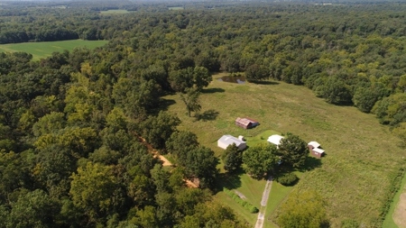 Fantastic Auction: Home & 30 Acres, Guns, Coins, Antiques! - image 3