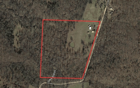 Fantastic Auction: Home & 30 Acres, Guns, Coins, Antiques! - image 2