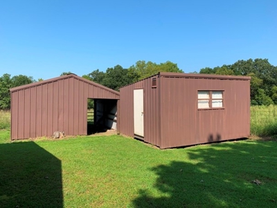 Fantastic Auction: Home & 30 Acres, Guns, Coins, Antiques! - image 5