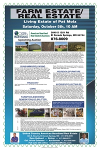 Fantastic Auction: Home & 30 Acres, Guns, Coins, Antiques! - image 24