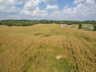 18.98 Acres of Warren Co. Land For Sale in 3 Tracts @Auction - image 17