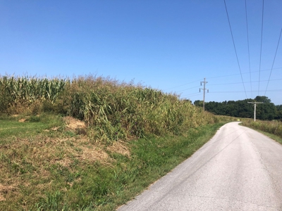 18.98 Acres of Warren Co. Land For Sale in 3 Tracts @Auction - image 1