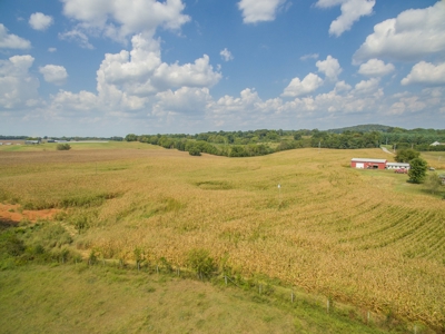 18.98 Acres of Warren Co. Land For Sale in 3 Tracts @Auction - image 6