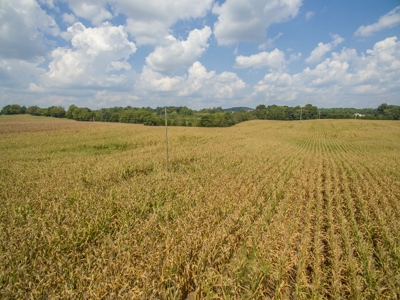 18.98 Acres of Warren Co. Land For Sale in 3 Tracts @Auction - image 14