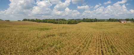 18.98 Acres of Warren Co. Land For Sale in 3 Tracts @Auction - image 13
