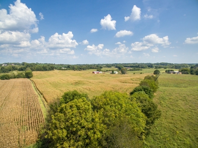 18.98 Acres of Warren Co. Land For Sale in 3 Tracts @Auction - image 8