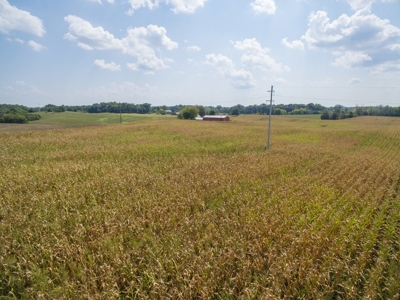 18.98 Acres of Warren Co. Land For Sale in 3 Tracts @Auction - image 11