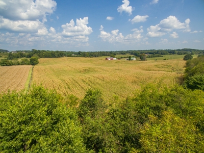 18.98 Acres of Warren Co. Land For Sale in 3 Tracts @Auction - image 9