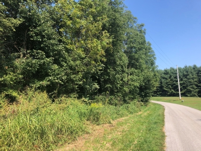 18.98 Acres of Warren Co. Land For Sale in 3 Tracts @Auction - image 3