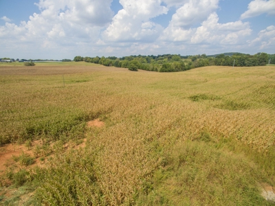 18.98 Acres of Warren Co. Land For Sale in 3 Tracts @Auction - image 16