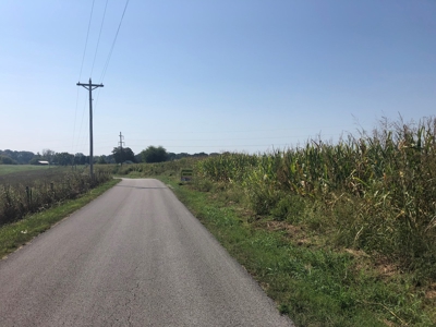18.98 Acres of Warren Co. Land For Sale in 3 Tracts @Auction - image 20