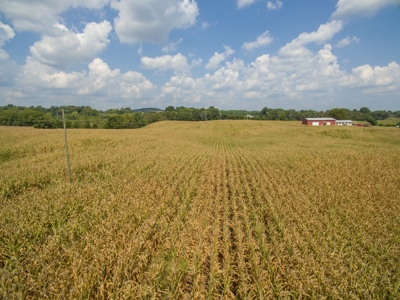 18.98 Acres of Warren Co. Land For Sale in 3 Tracts @Auction - image 12