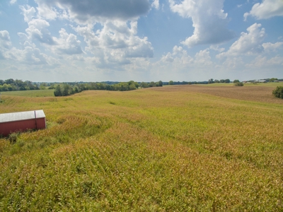 18.98 Acres of Warren Co. Land For Sale in 3 Tracts @Auction - image 19