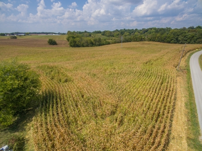 18.98 Acres of Warren Co. Land For Sale in 3 Tracts @Auction - image 18