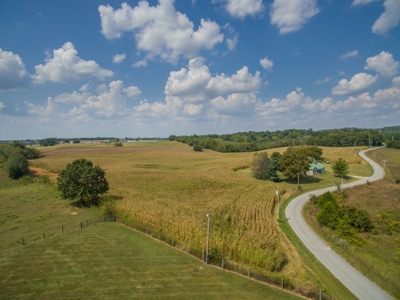 18.98 Acres of Warren Co. Land For Sale in 3 Tracts @Auction - image 5