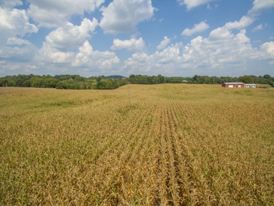 18.98 Acres of Warren Co. Land For Sale in 3 Tracts @Auction - image 15