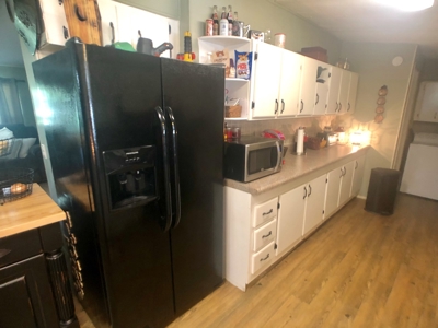 3B/2B Mobile home for sale on 1.5 acres in Slocomb, AL - image 3