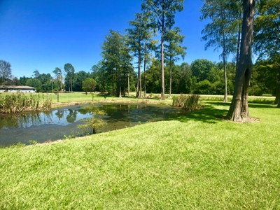 3B/2B Mobile home for sale on 1.5 acres in Slocomb, AL - image 34
