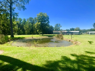3B/2B Mobile home for sale on 1.5 acres in Slocomb, AL - image 35