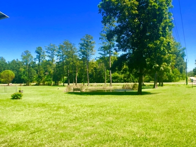 3B/2B Mobile home for sale on 1.5 acres in Slocomb, AL - image 31