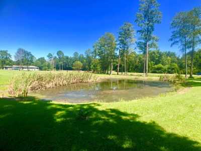 3B/2B Mobile home for sale on 1.5 acres in Slocomb, AL - image 33