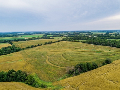 Live Chariton & Randolph County Farm Land Auction - image 3