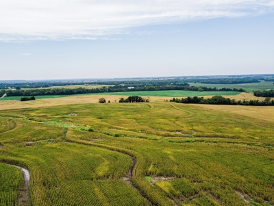 Live Chariton & Randolph County Farm Land Auction - image 5