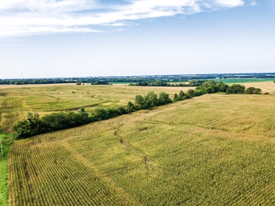 Live Chariton & Randolph County Farm Land Auction - image 10