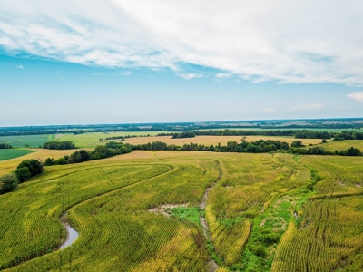 Live Chariton & Randolph County Farm Land Auction - image 2