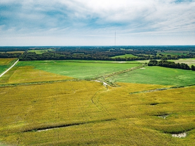 Live Chariton & Randolph County Farm Land Auction - image 6